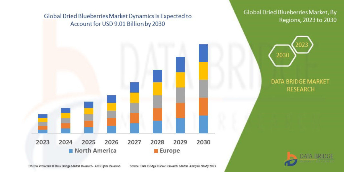 Dried Blueberries Market Sees Strong Demand from Health-Conscious Consumers