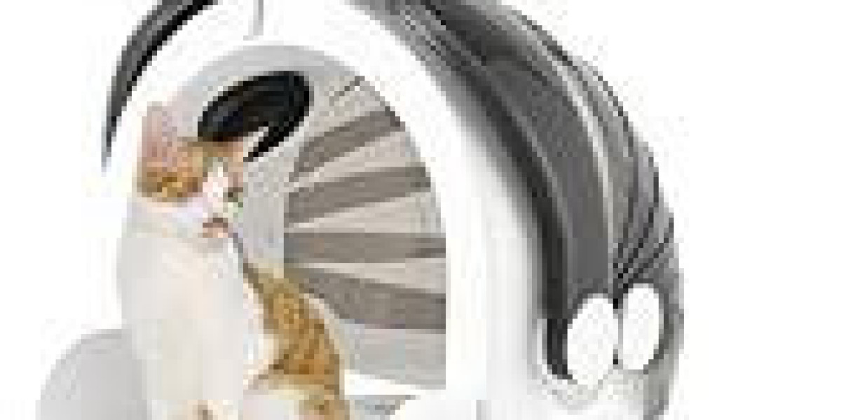 How Pawtechpet Pet Dryer Builds Trust