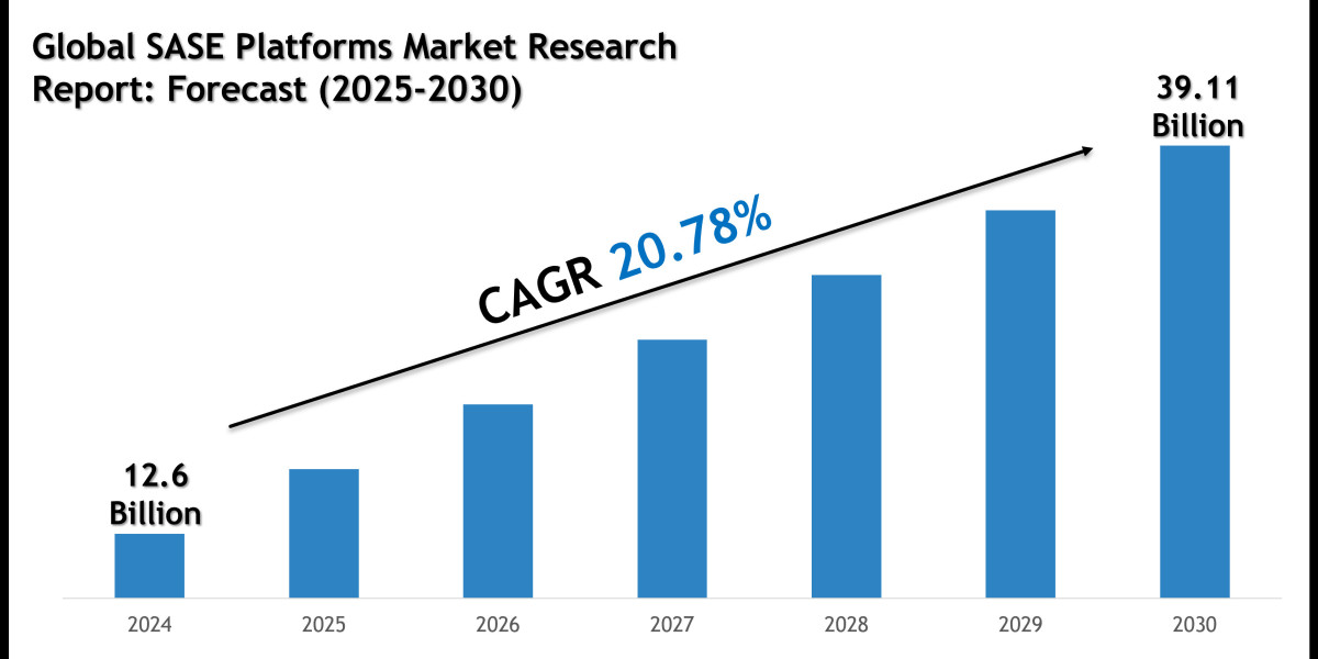 SASE Platforms Market Growth Trends, Volume Insights and Outlook 2030